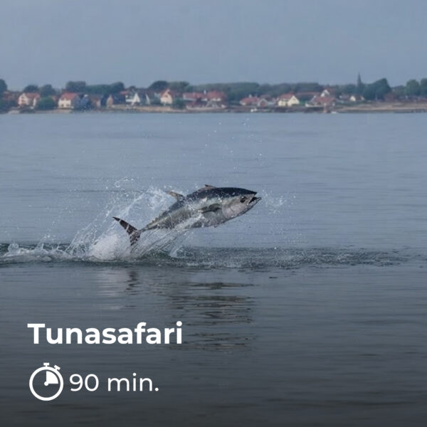 tunasafari